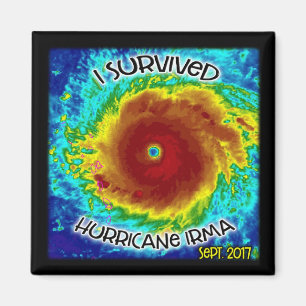 Aimant J'ai survécu à l'aimant d'Irma d'ouragan