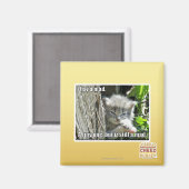 Aimant J'ai un fou (Recto/Verso)