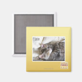 Aimant J'ai un u (Recto/Verso)