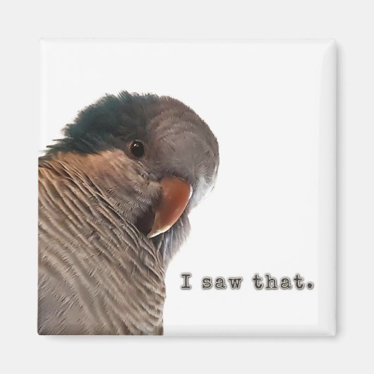 Aimant J'ai vu ça (Devant)