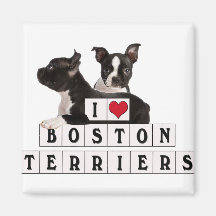 J'AIME BOSTON TERRIERS BLOCS