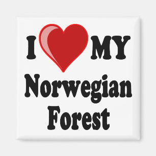Aimant J'aime (coeur) mon chat norvégien de forêt