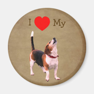 Aimant J'aime cœur mon chien Beagle 
