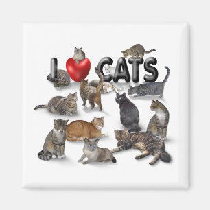 Aimant J'aime des chats