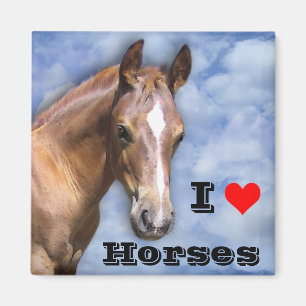 Aimant J'aime des chevaux