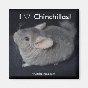 Aimant J'aime des chinchillas