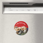 Aimant J'aime l'aimant des cochons de Guinée (In Situ (Lave-vaisselle))