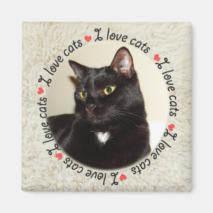 Aimant J'aime les chats