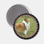 Aimant J'aime les chiens Sheltie (Recto/Verso)
