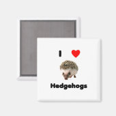 Aimant J'aime les hérissons (Recto/Verso)