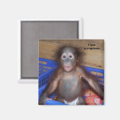 Aimant J'aime les orangs-outans (Recto/Verso)