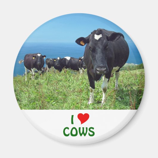Aimant J'aime les vaches (Devant)