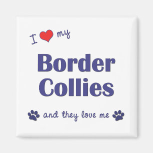 Aimant J'aime mes colleys de frontière (les chiens