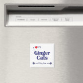 Aimant J'Aime Mes Ginger Cats (Chats Multiples) (In Situ (Lave-vaisselle))