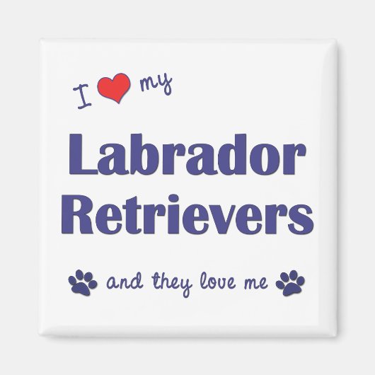 Aimant J'Aime Mes Récupérateurs Labrador (Chiens Multiple (Devant)