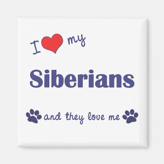 Aimant J'Aime Mes Sibériens (Chats Multiples) (Devant)