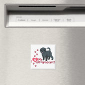 Aimant J'Aime Mon Affenpinscher ! (In Situ (Lave-vaisselle))