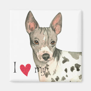 Aimant J'aime mon American Hairless Terrier