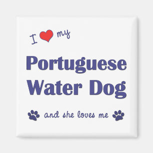 Aimant J'aime mon chien d'eau portugais (le chien