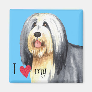 Aimant J'aime mon collie barrée