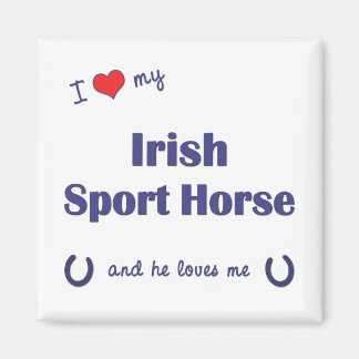 Aimant J'Aime Mon Irlandais Sport Cheval (Cheval Homme)