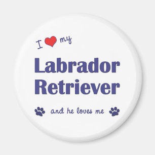 Aimant J'aime mon labrador retriever (le chien masculin)