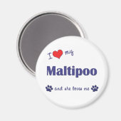 Aimant J'Aime Mon Maltipoo (Chien Féminin) (Recto/Verso)