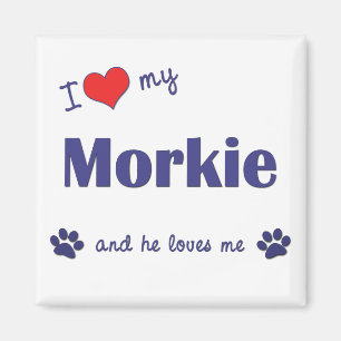 Aimant J'aime mon Morkie (le chien masculin)