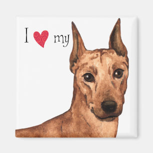 Aimant J'aime mon Pinscher allemand