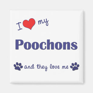 Aimant J'aime mon Poochons (les chiens multiples)