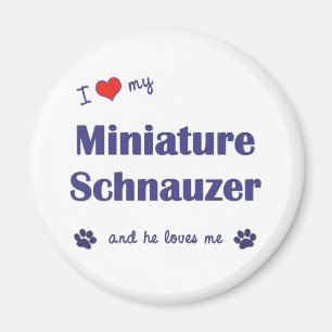 Aimant J'aime mon Schnauzer miniature (le chien masculin)