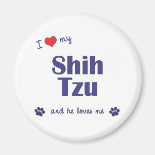 Aimant J'aime mon Shih Tzu (le chien masculin)