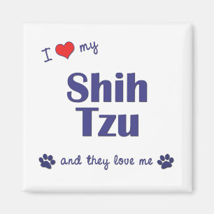 Aimant J'aime mon Shih Tzu (les chiens multiples)