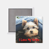 Aimant J'Aime Mon Yorkie (Recto/Verso)