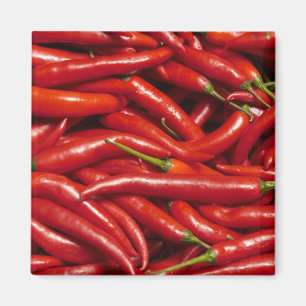 Aimant Jalapenos