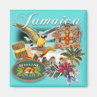 Aimant jamaïque