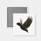 Aimant jamais plus d'aimant (Recto/Verso)