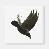 Aimant jamais plus d'aimant (Devant)