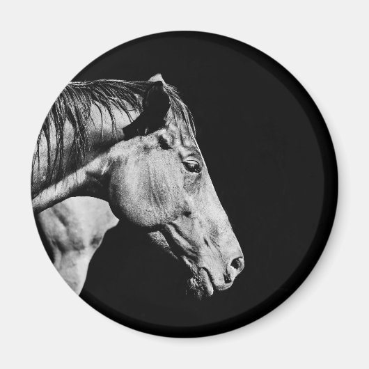 Aimant jambe de cheval de tête (Devant)