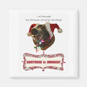 Aimant James Garfield pour la sainteté