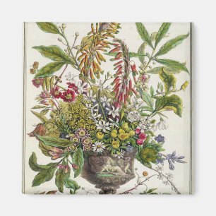 Aimant Janvier, de ` douze mois de fleurs