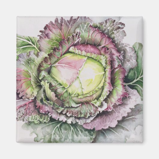 Aimant Janvier King Cabbage (Devant)