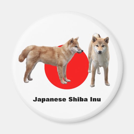 Aimant Japanese Shiba Inu (Devant)