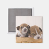 Aimant Japon (Recto/Verso)