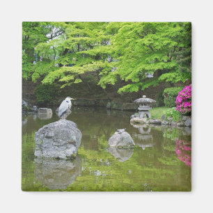 Aimant Japon, Kyoto. Héron dans des feuilles vertes fraîc