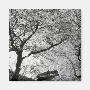Aimant Japon, Tokyo. Cerisiers en fleurs dans l'Impérial