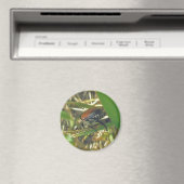 Aimant japonais de coléoptère (In Situ (Lave-vaisselle))