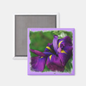 Aimant japonais Iris (Recto/Verso)