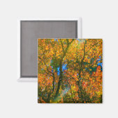 Aimant Jardin botanique VanDusen Vancouver, Canada (Recto/Verso)