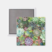 Aimant Jardin coloré Succulent (Recto/Verso)